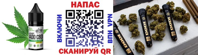Canna-Cookies марихуана Терек