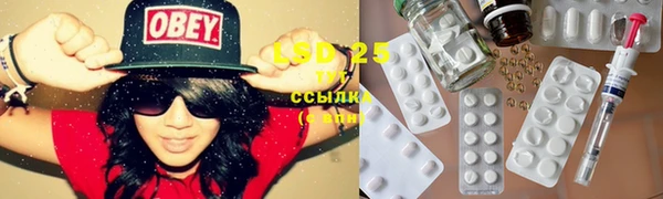 ПСИЛОЦИБИНОВЫЕ ГРИБЫ Арсеньев